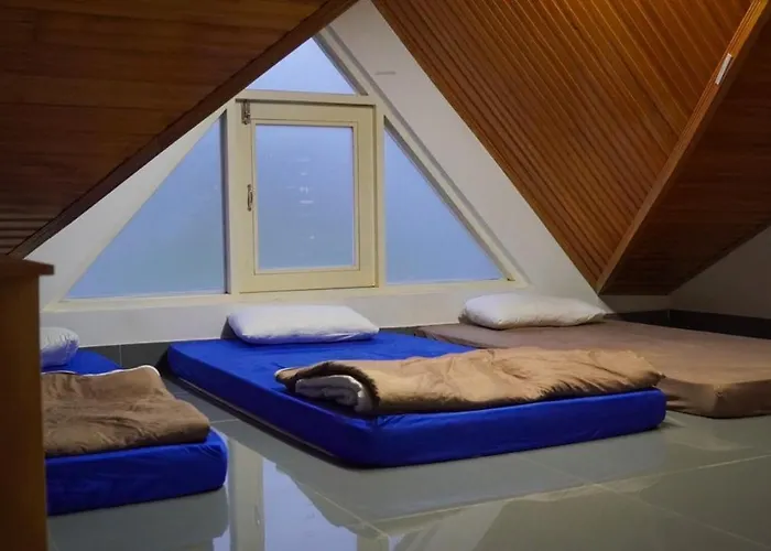 Mr Rot's Secret Hotel